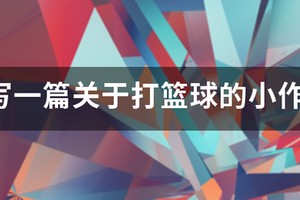 篮球训练描写动作的片段作文300字